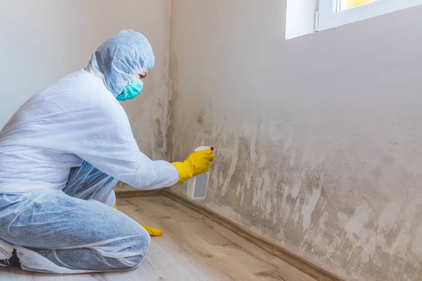 Licensed Mold Testing service in Fairfax, VA - WQB Mold Removal