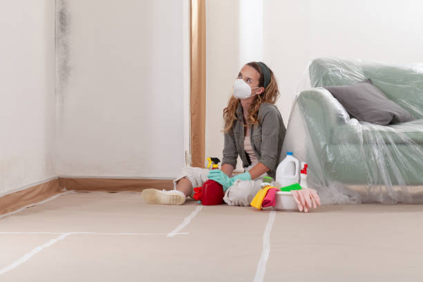 Reliable Mold Testing contractor in Fairfax, VA by WQB Mold Removal